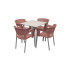 silla cup