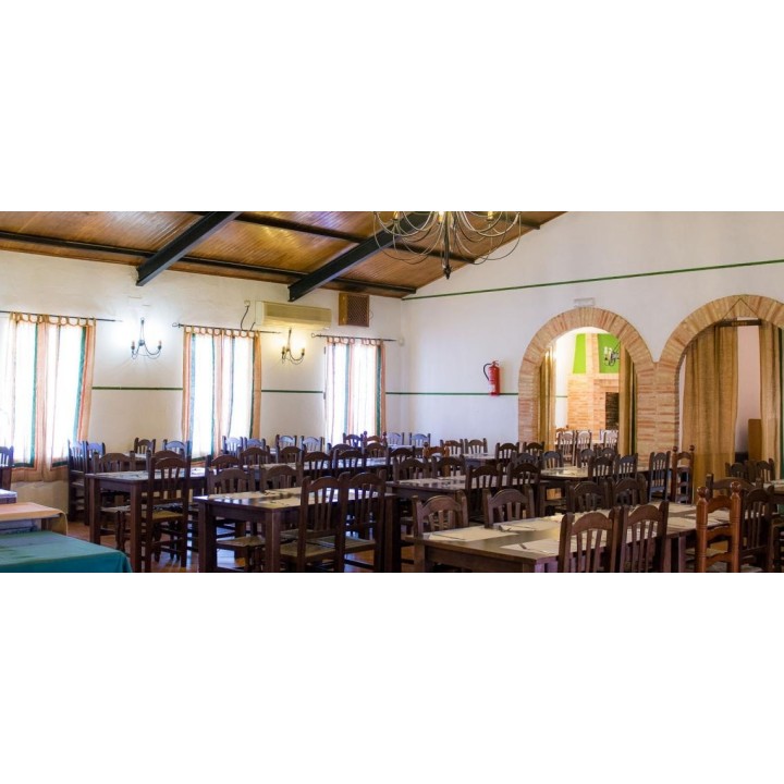Silla hostelería Palmera| Sillas de madera-Fabrica de sillas